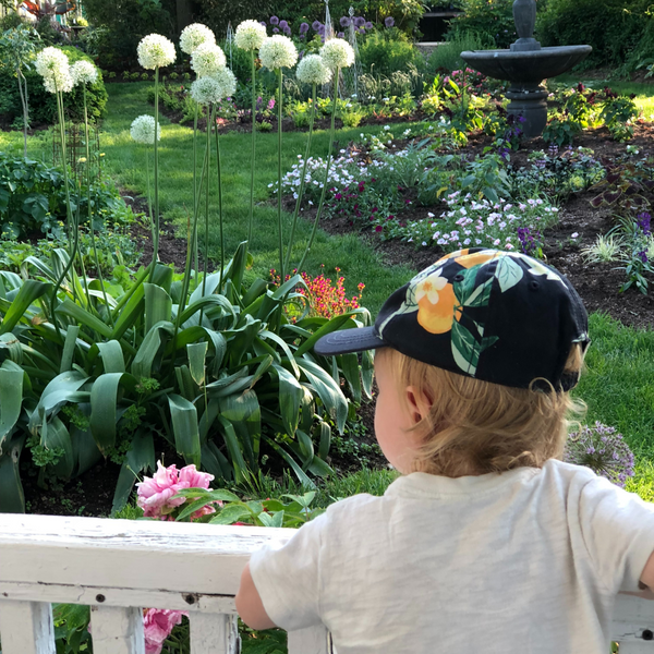 To the Garden: A Summer Invitation to Slow Down