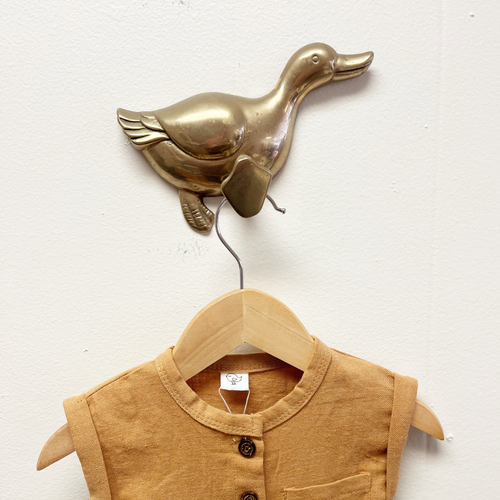 Baby Boy Nursery Decor Vintage Brass Duck Wall Hanger