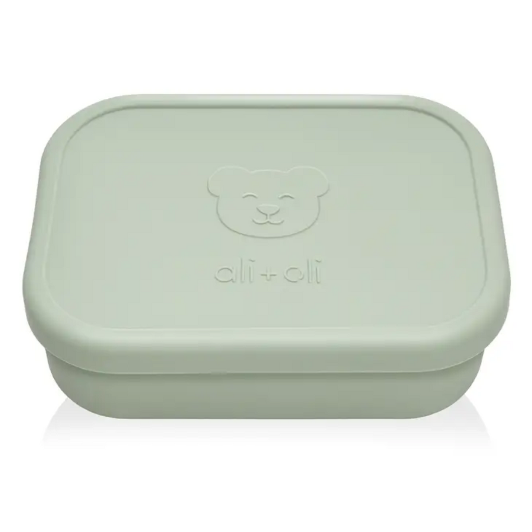Bento Box with Spill Proof Lid - Pine