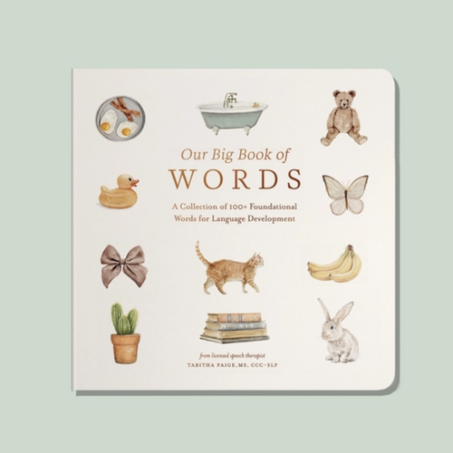 Our Big Book of Words - Board Book