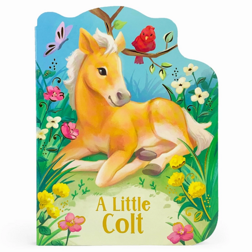 A Little Colt - Board Book