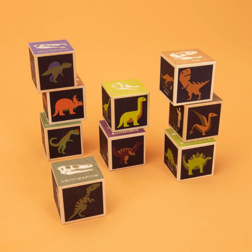 Dinosaur Blocks - Set of 9