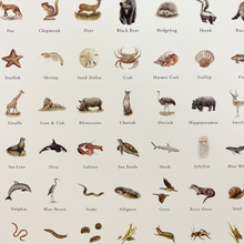 Load image into Gallery viewer, Illustrations of various animals with labels on a beige background that can be used as a "seek-and-find" screen-free activity!