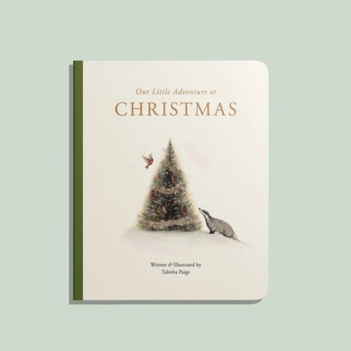 Our Little Adventures at Christmas