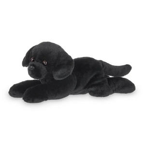 Lil' Jet The Black Lab